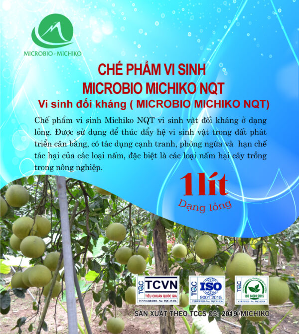 Chế phẩm vi sinh giúp phát triển hệ vi sinh vật và diệt nấm gây bệnh cho cây - NQT